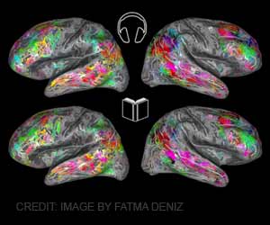 大脑和智商之间的连接可以映射的新技术