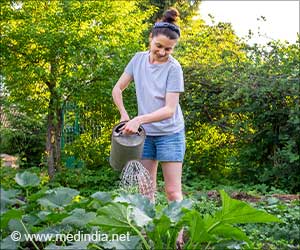 园艺可以降低患癌症的风险，促进心理健康