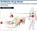 抗生素及药物滥用