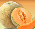 哈密瓜——健康的水果