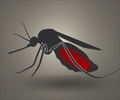 疟疾保护战略