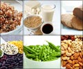 纯素饮食富含蛋白质