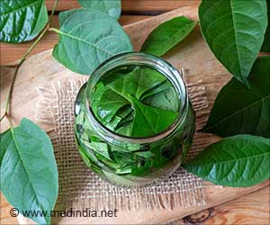 日本虎杖提取物可以降低加工肉类的癌症风险:研究